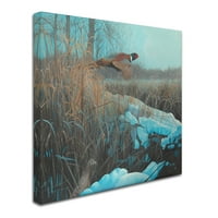 Търговска марка изобразително изкуство 'фазан Акрил 067' платно изкуство от Ръсти Френтнър