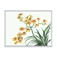 Дизайнарт 'Жълти Реколта Орхидеи На Бяло' Традиционна Рамка Платно Стена Арт Принт