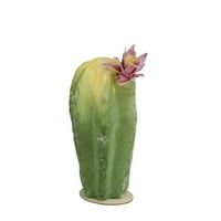 8.5 Югозападен стил зелен и жълт кактус на дървена основа с розово цвете